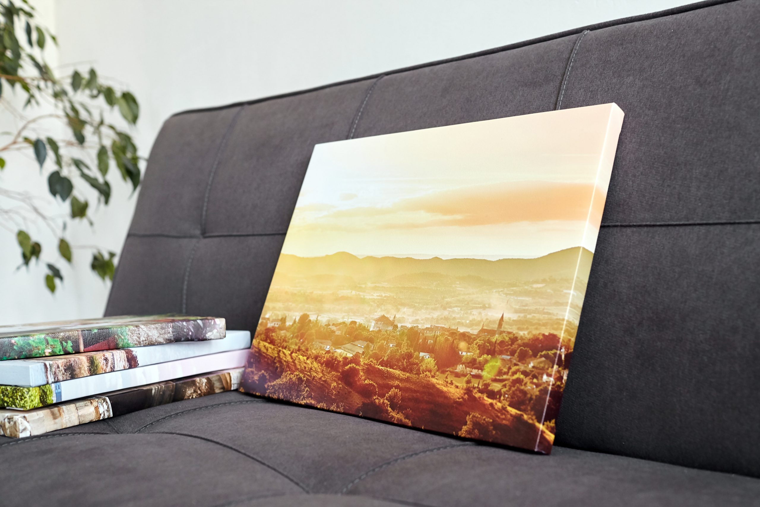 Photo canvas prints